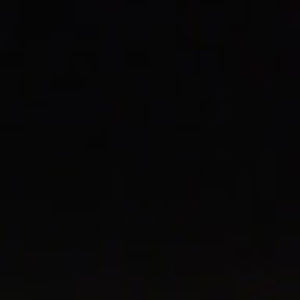 Meet your Posher, Riley